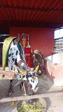 Image 2022-01-04 at 08.36.27.jpeg