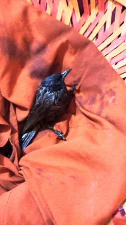 Image 2022-01-05 at 09.20.40.jpeg