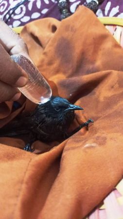 Image 2022-01-05 at 09.23.45.jpeg