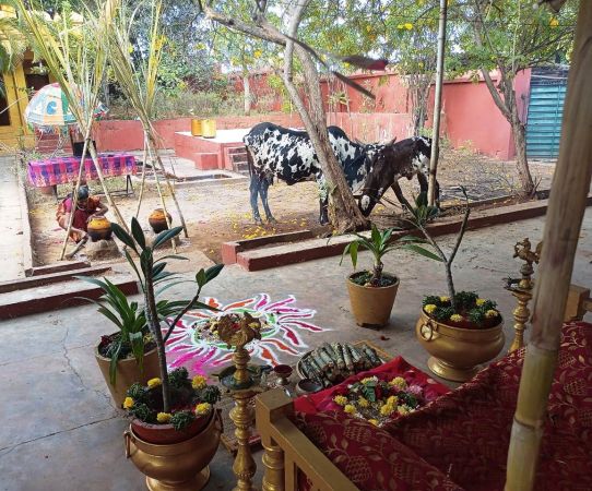 Image 2022-01-14 at 12.20.25.jpeg