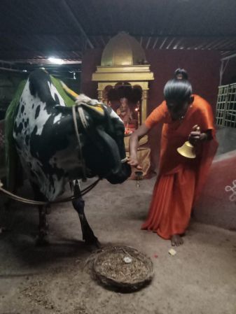 Image 2022-03-14 at 21.44.45.jpeg