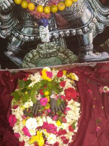 KAILASA-CHENNAI--INDIA-2021-03-19-12yHCC5 2cEZuhaptaw ZrTHLIz3Z4itW.jpg