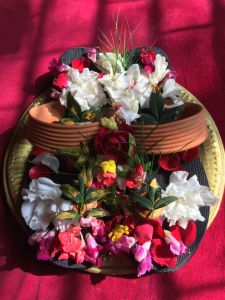 KAILASA-DHUMBARAI--NEPAL-2021-06-23-1pMvDinDl2F0C2J0YZfWNMOAgpSAv0 6n.jpg