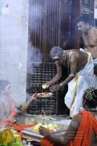 KAILASA-FAMILIA-PORTUGUESA--PORTUGAL-2018-01-28-1U10Pk TLvRexEarS3OQI1cQkG3yvUiWU.jpg