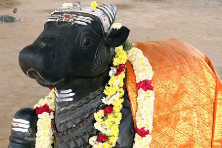 KAILASA-FAMILIA-PORTUGUESA--PORTUGAL-2018-01-30-10eERxi4ADwRF MsYYIeXDNjtIrPd43NU.jpg