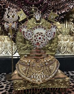 KAILASA-HOUSTON--USA-2021-04-03-1hBMIIDSV kcRexfdZB5Q8jWKIQ04qMzf.jpg