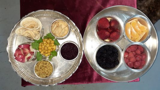 KAILASA-HOUSTON--USA-2021-04-05-1zhcT1fw5sAYPt0Et3lEauym mrnmtul6.jpg