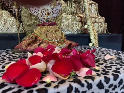 KAILASA-HOUSTON--USA-2021-04-07-19ovgOVtTbULcvpoRYLyD ZqsX-s65MBx.jpg