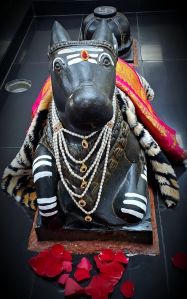 KAILASA-HOUSTON--USA-2021-04-08-1 Erw1LiZXhdR1bKZZMAuBYirf083J-82.jpg