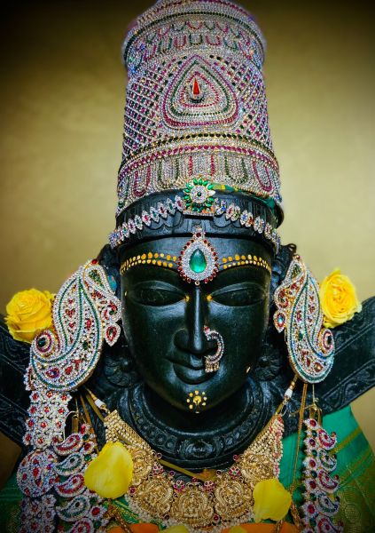 File:KAILASA-HOUSTON--USA-2022-01-13-1AW5Yqt gcwijGCs2FjCBqeTLn 6s36xp.jpg