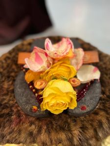 KAILASA-HOUSTON--USA-2022-01-18-1hyyMdLaWK-ElAigxCW1y2b bhUc-BzV .jpg