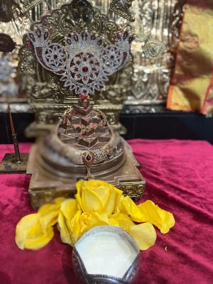 KAILASA-HOUSTON--USA-2022-01-25-1HHoJ7GC1OeY8bN0PRSuxEtIEx6SE4Awc.jpg