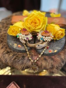 KAILASA-HOUSTON--USA-2022-01-28-164TCv1XoX1HrC PNblSMSAzWwDfiJuB7.jpg