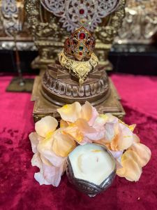 KAILASA-HOUSTON--USA-2022-02-08-1yuXYxIHihrfrkZcw7fvn7weTT20Nkc 8.jpg