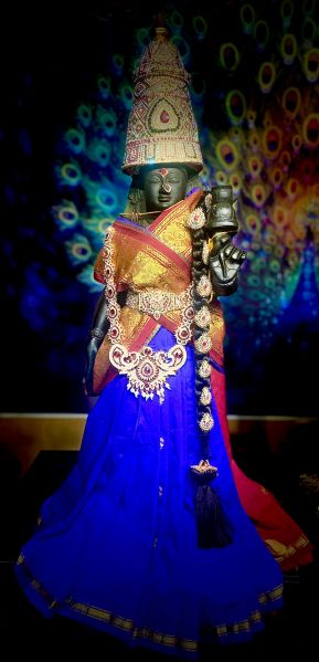File:KAILASA-HOUSTON--USA-2022-02-21-1WwW1fG-jFoLsQPN-CEpzaoA8gqA0l6EP.jpg