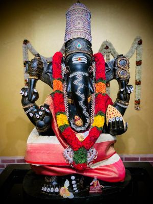 KAILASA-HOUSTON--USA-2022-02-27-1A1u1ZC4G2gRWg3INfOrCq6ed9oJm4LQN.jpg