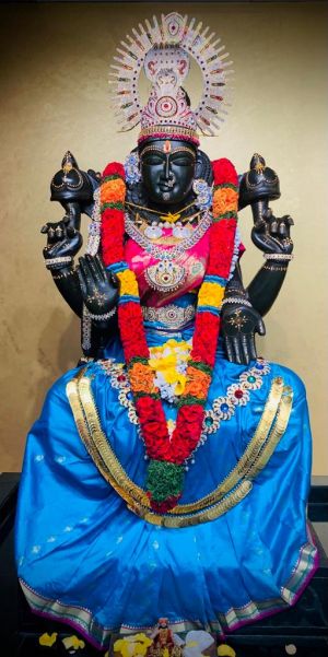 KAILASA-HOUSTON--USA-2022-02-27-1AdWpaYB8-ntlQqdPfC18Ncjf03na7OZS.jpg