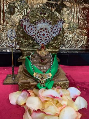 KAILASA-HOUSTON--USA-2022-03-15-1er9t9eAtvFFcplewF9HYbV0YBA4NEi C.jpg