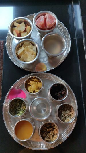 KAILASA-HOUSTON--USA-2022-03-17-1ZsTprkMXmrxlHt 4zDWkczo SpszyRt2.jpg