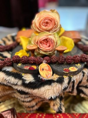 KAILASA-HOUSTON--USA-2022-04-01-1Goz28flZoQNAKb FIDdJJd49BYbaaDYG.jpg