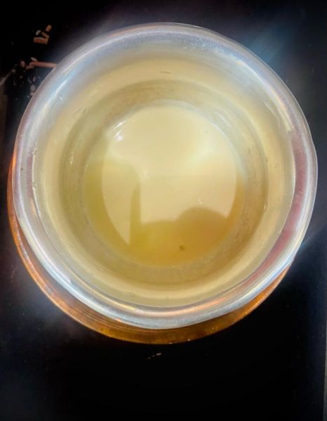 File:KAILASA-HOUSTON--USA-2022-04-02-1A92LGjh RmzRdht X8TdUYr8huzF2r3J.jpg