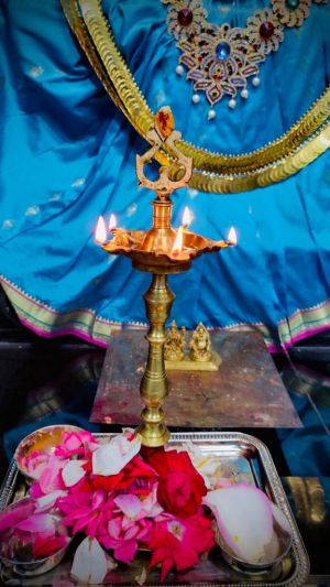 KAILASA-HOUSTON--USA-2022-04-23-1RSbjGGI7JxJ1sXcKtHgSdy-0t ER90S8.jpg