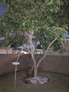 KAILASA-LATIN-AMERICA-2013-05-12-1l2nsP 9CftVsSl1XQT5-fz05zQqeLxQj.jpg