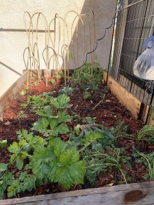 KAILASA-LATIN-AMERICA-2021-04-09-1ezpmPLQtxrIxKk40n8SFcZJ-jDWeGpL .jpg