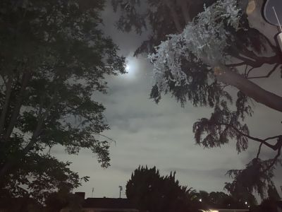 KAILASA-LATIN-AMERICA-2021-05-19-1NmE UcxjYUzByxKM8H EtZJOt7s3XSTr.jpg