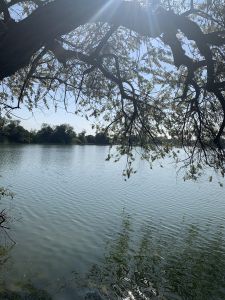 KAILASA-LATIN-AMERICA-2021-06-04-1qdtCD-JfOCRnXzWRo5U3lmPEEj -iBLs.jpg