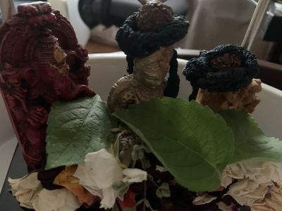 KAILASA-LATIN-AMERICA-2021-06-06-1MQlU8upcfxgh2yWYKPb1lpTcFC4 8F7g.jpg