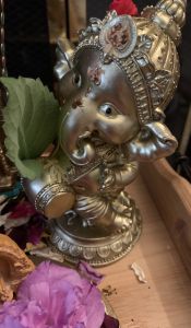 KAILASA-LATIN-AMERICA-2021-06-06-1YzWrSJF2izBg0jDeATnFYPK08e6 mzr8.jpg