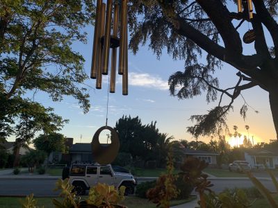 KAILASA-LATIN-AMERICA-2021-06-12-1Dynz4ehP4kKYVn h9aw1Csy94NXVI9BQ.jpg