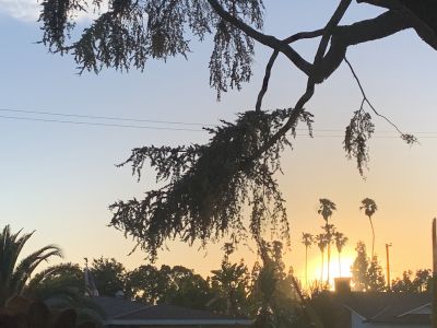 KAILASA-LATIN-AMERICA-2021-06-12-1GpzZ288Cah iJ1o1GHy-enmQOEwG5zHz.jpg