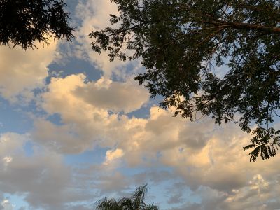 KAILASA-LATIN-AMERICA-2021-06-24-1ioihh5YUPG-MXELYwX549fFzWbkeb2 N.jpg