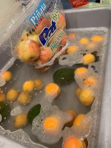 KAILASA-LATIN-AMERICA-2021-06-28-1yyJhyxu6xTki5HF0yqgaic7r7 FrTZme.jpg