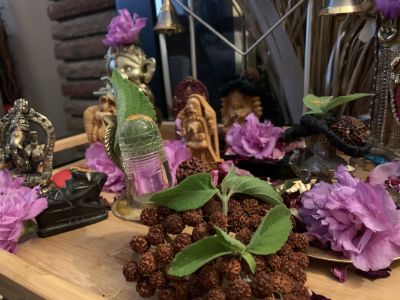 KAILASA-LATIN-AMERICA-2021-06-30-15FGnvHXw2x7jH k3-l0rsKzFogk37Xxd.jpg