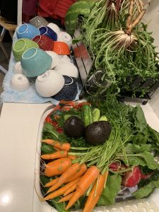 KAILASA-LATIN-AMERICA-2021-07-02-1LjLwmnPlyscmf0 7Jj8W94Y9T8oaCfKX.jpg