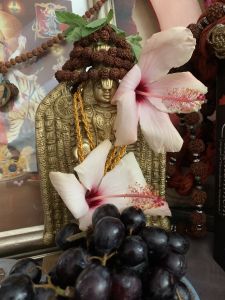 KAILASA-LATIN-AMERICA-2021-07-03-1V85zdNj NTdsnmGyBA1rYLjgw4ntVE73.jpg