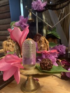 KAILASA-LATIN-AMERICA-2021-07-04-1gto5nGuNx CxHo4D1XY8ixcrVAhw3VwD.jpg