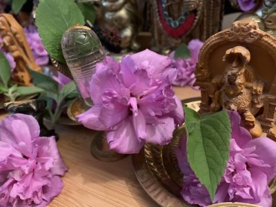 KAILASA-LATIN-AMERICA-2021-07-10-1oigC1AzkoFR1k0OBI9y7Eylj tpBiW-.jpg