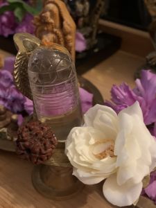 KAILASA-LATIN-AMERICA-2021-07-14-12tp56jAjK4vsJOuTosTan1GDSd 5rKge.jpg