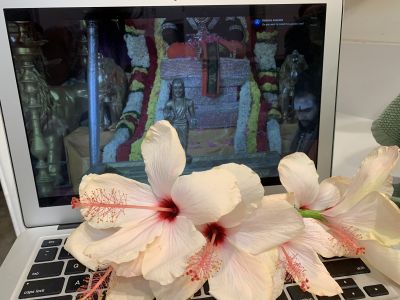 KAILASA-LATIN-AMERICA-2021-07-14-1hxLeW6 7kU43WCUAKWZwSSCX7tLH1RpQ.jpg