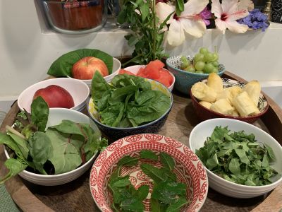 KAILASA-LATIN-AMERICA-2021-07-15-1lCyY40FHc9pVEdSNHhp H7l4hSfuaG6C.jpg