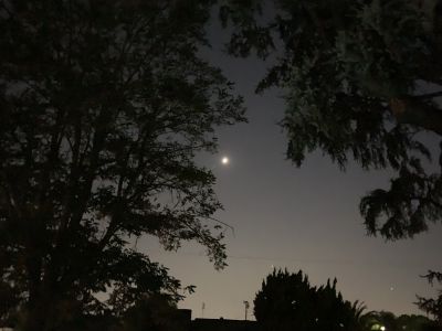 KAILASA-LATIN-AMERICA-2021-07-15-1zGayJvdNKXHoD24z0nlv50VjlB-KJ l0.jpg