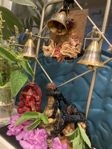 KAILASA-LATIN-AMERICA-2021-07-18-1NSe1N0dg bdVJTlDYp3cy3omzrWZ1twj.jpg