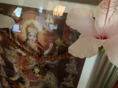 KAILASA-LATIN-AMERICA-2021-07-19-1b2 h1ncyR9Z6-mpzUp 58oM8BM2ARwTW.jpg