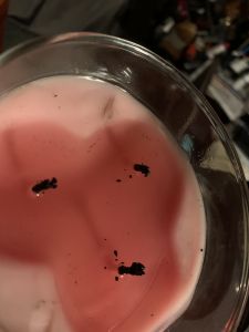 KAILASA-LATIN-AMERICA-2021-08-08-1oK4l98Ydi6CdMRAno fs-lTBYYBk6Ilq.jpg