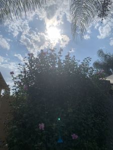 KAILASA-LATIN-AMERICA-2021-08-16-1 4fnRlozWrgwFsqx7tP4Wvkutau8PJIB.jpg