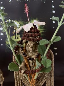 KAILASA-LATIN-AMERICA-2021-08-31-1WrGqk L4PpTpJ4b9RYq QkAyUBY7fakB.jpg